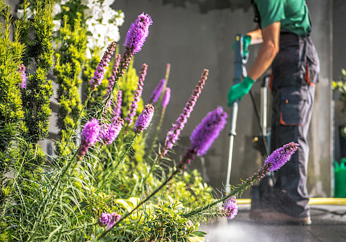 Ubbo Kruse, Objektservice, Objektbetreuung, Gebäudereinigung, Außenreinigung, Gehwegsreinigung, Grünpflege, Pflanzenpflege
