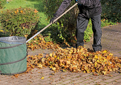 Ubbo Kruse, Objektservice, Objektbetreuung, Außenreinigung, Gartenpflege, Laubbeseitigung, Grünpflege, Pflanzenpflege
