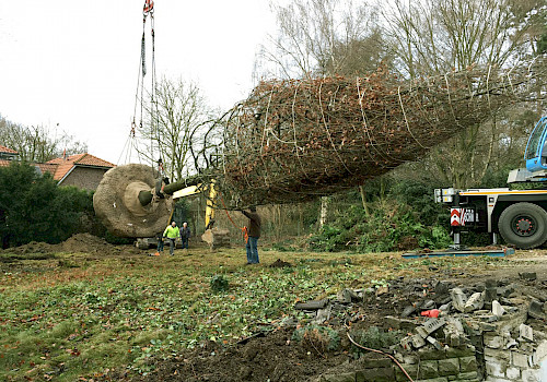 Ubbo Kruse, Baumschule, Pflanzenhandel, Pflanzenpflege, Landschaftspflege, Bäume, Sträucher, Ziergehölze, Obstgehölze, Forstpflanzen, Umschulung Baum, Baum verpflanzen