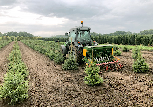 Ubbo Kruse, Baumschule, Pflanzenhandel, Pflanzenpflege, Landschaftspflege, Bäume, Sträucher, Ziergehölze, Obstgehölze, Forstpflanzen, Nadelgehölze